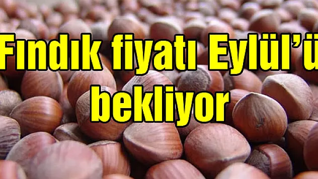 Fındık fiyatı Eylül'ü bekliyor