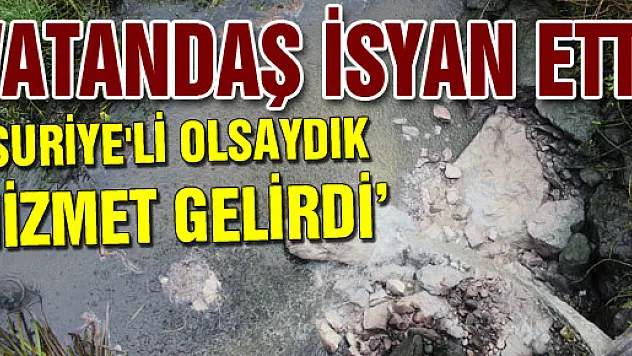 Suriye'li olsaydık hizmet gelirdi
