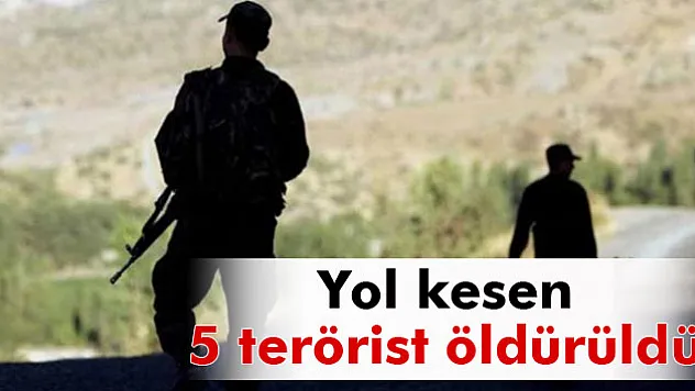 Erzincan'da yol kesen 5 terörist öldürüldü