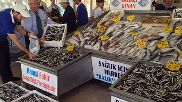 Marmara Denizi'nde hamsi bolluğu