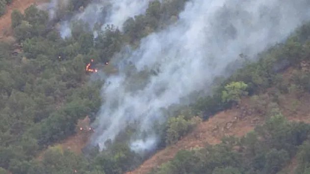 Hakkari'de 5 ayrı noktada orman yangını