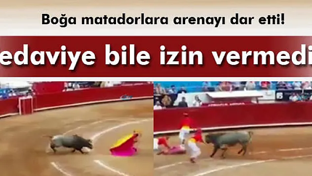 Boğa matadorlara arenayı dar etti!
