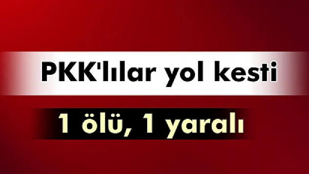 PKK'lılar kaçmaya çalışan araca ateş açtı: 1 ölü, 1 yaralı
