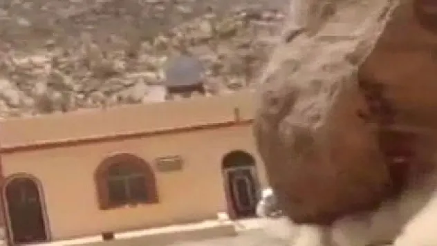 Şans mı şanssızlık mı?