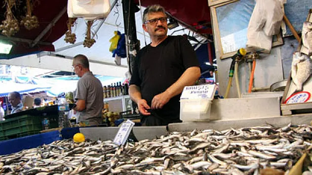 Pazarda hamsi bereketi