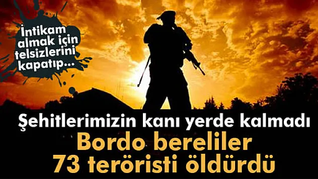 Bordo bereliler 73 teröristi etkisiz hale getirdi