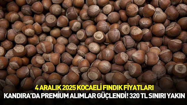 4 Aralık 2025 Kocaeli Fındık Fiyatları | Kandıra'da Premium Alımlar Güçlendi! 300 TL Sınırı Yakın
