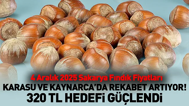 4 Aralık 2025 Sakarya Fındık Fiyatları | Karasu ve Kaynarca'da Rekabet Artıyor! 300 TL Hedefi Güçlendi