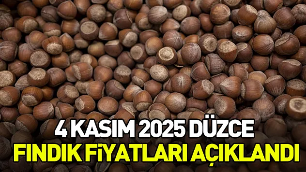 4 Kasım 2025 Düzce Fındık Fiyatları Açıklandı