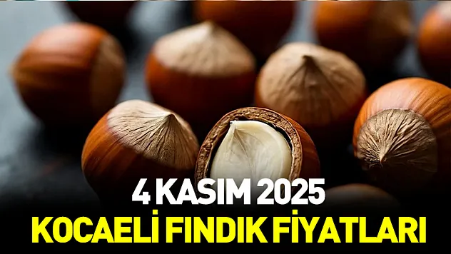 4 Kasım 2025 Kocaeli fındık fiyatları açıklandı! İlçe ilçe güncel liste...