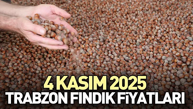 4 Kasım 2025 Trabzon Fındık Fiyatları