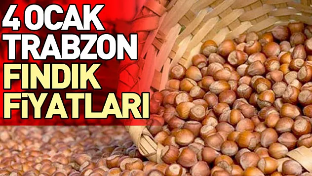 4 Ocak Trabzon Fındık Fiyatları