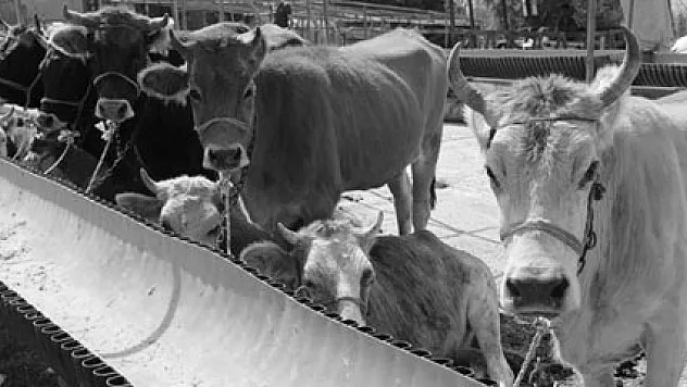 Bayram tatili kaç gün olacak?