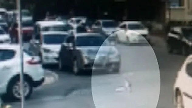 Yere düşen 14 bin TL'yi alıp kayıplara karıştı