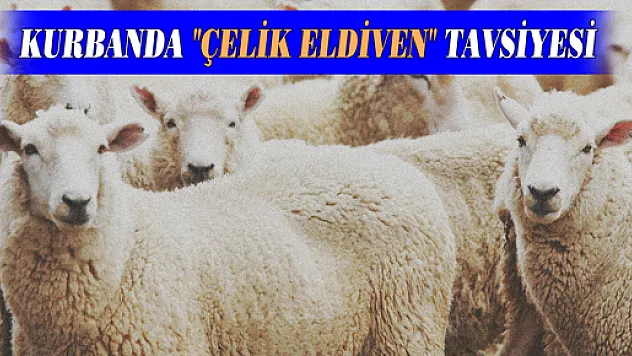 KURBANDA 'ÇELİK ELDİVEN' TAVSİYESİ