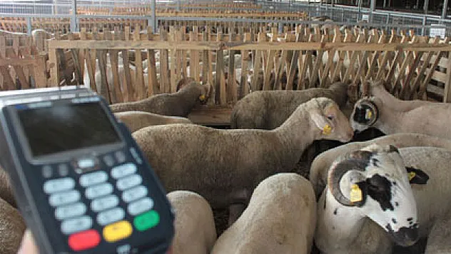 Kredi kartı ve krediyle kurban almak caiz mi? Kurban kesmek kimlere vacip?