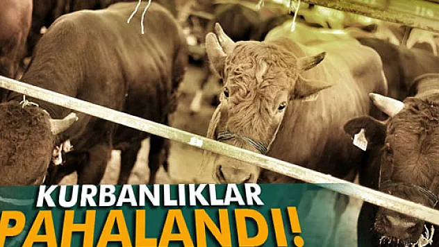 Suudi Arabistan'da da kurbanlıklar pahalandı