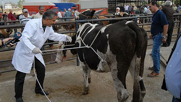 Uzmanından kurbanlık yatırmanın püf noktaları