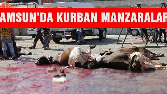 Samsun'da Kurban Manzaraları