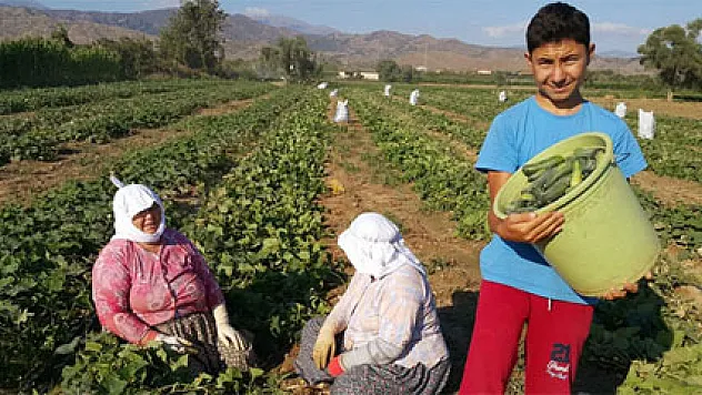 Tarım işçilerinin bayramı yok