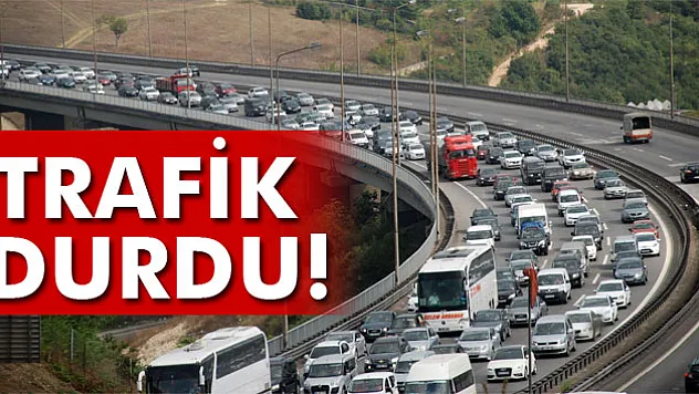 TEM otoyolu Kocaeli kesiminde trafik durdu