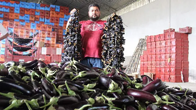 İstanbul'da zam şampiyonu patlıcan