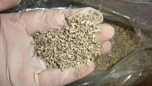 ÇARŞAMBA'DA JANDARMA'DAN OPERASYON