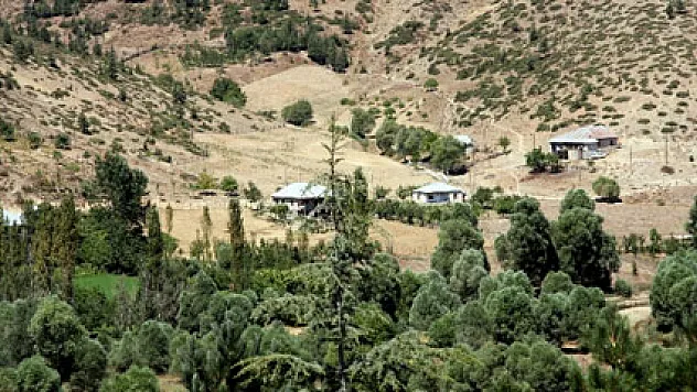 Adana'da başsız ceset bulundu