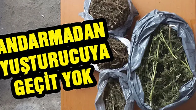 JANDARMADAN UYUŞTURUCUYA GEÇİT YOK
