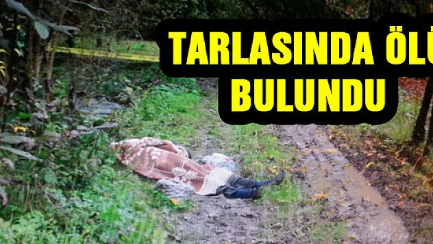 TARLASINDA ÖLÜ BULUNDU