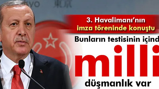 Erdoğan: 'Bunların testisinin içinde milli düşmanlık var'