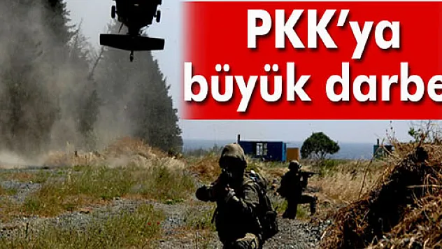 Lice'de PKK'ya büyük darbe