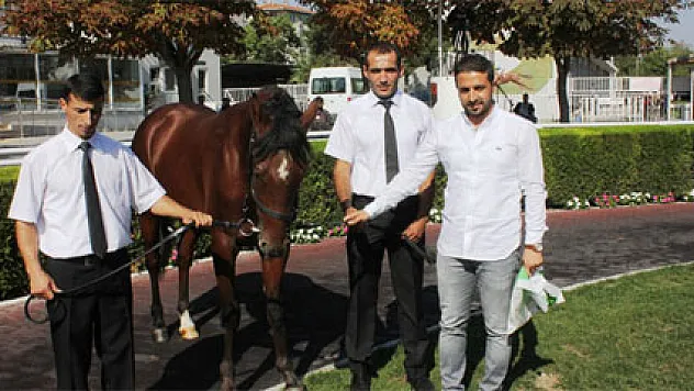 Geleceğin yarış atları kapış kapış satıldı