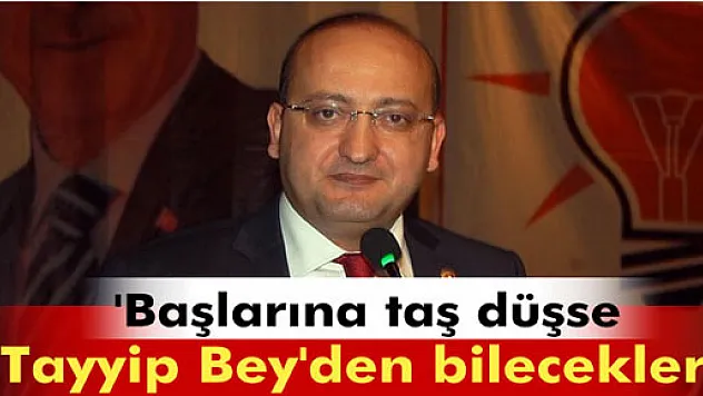 Akdoğan: 'Başlarına taş düşse Tayyip Bey'den bilecekler'