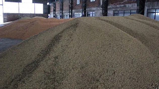 2 milyon tonluk soya ithalatına bakanlık el attı