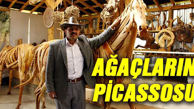 AĞAÇLARIN PİCASSOSU