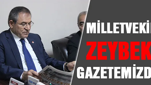 MİLLETVEKİLİ ZEYBEK, GAZETEMİZDE