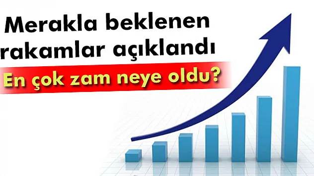 Ekim ayı enflasyon rakamları açıklandı
