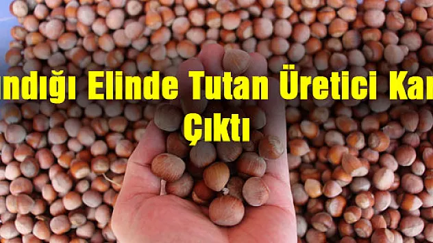 Fındığı Elinde Tutan Üretici Karlı Çıktı