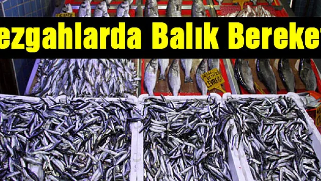 Tezgahlarda Balık Bereketi