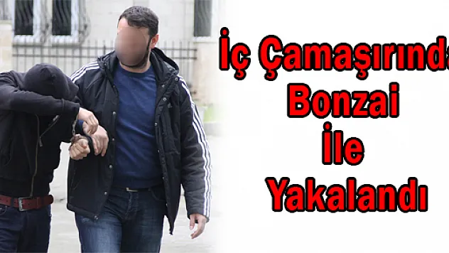 İç Çamaşırında Bonzai İle Yakalandı