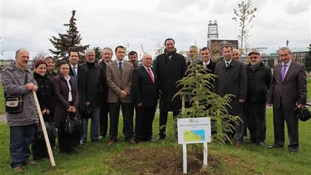 81 İlde 81 Orman projesi