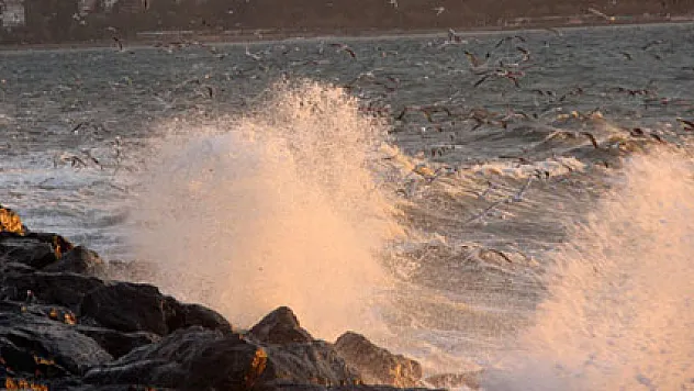 İstanbul'da lodosun etkisi devam ediyor! İşte iptal edilen sefer saatleri