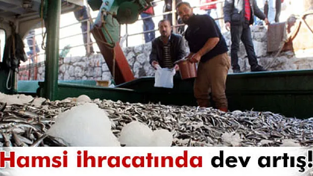 Hamsi ihracatında dev artış