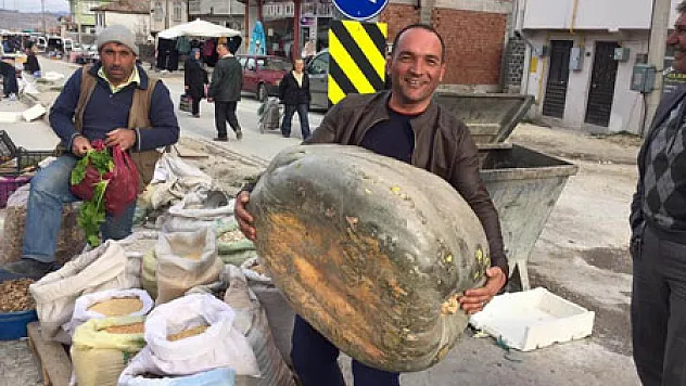 65 KİLOLUK KABAK ŞAŞIRTTI