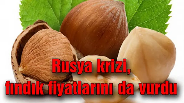 Rusya krizi, fındık fiyatlarını da vurdu