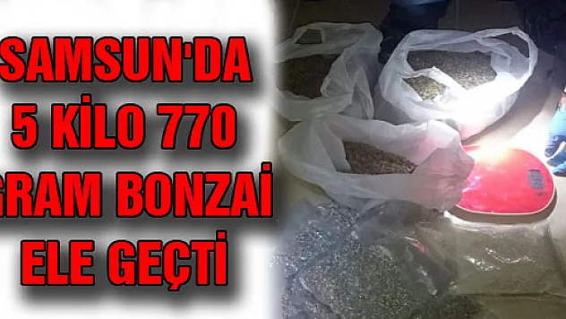 SAMSUN'DA 5 KİLO 770 GRAM BONZAİ ELE GEÇTİ