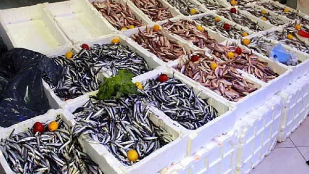 Samsun'da hamsi 8 lira