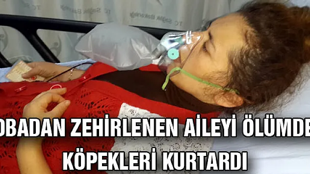 SOBADAN ZEHİRLENEN AİLEYİ ÖLÜMDEN KÖPEKLERİ KURTARDI
