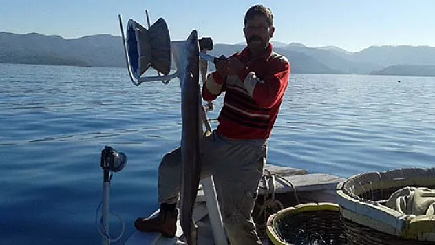 Oltasına dev deniz yılan balığı takıldı